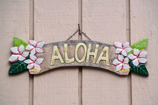 todo sobre retro aloha